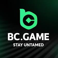 Comprehensive Overview of BCStavka Casino Features, Bonuses, and More Comprehensive Overview of BCStavka Casino Features, Bonuses, and More