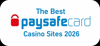 Alt Du Skal Vide Om Paysafecard Casinoer Online