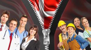 Professionelle Tjenester i Danmark En Guide til Kvalitet og Ekspertise